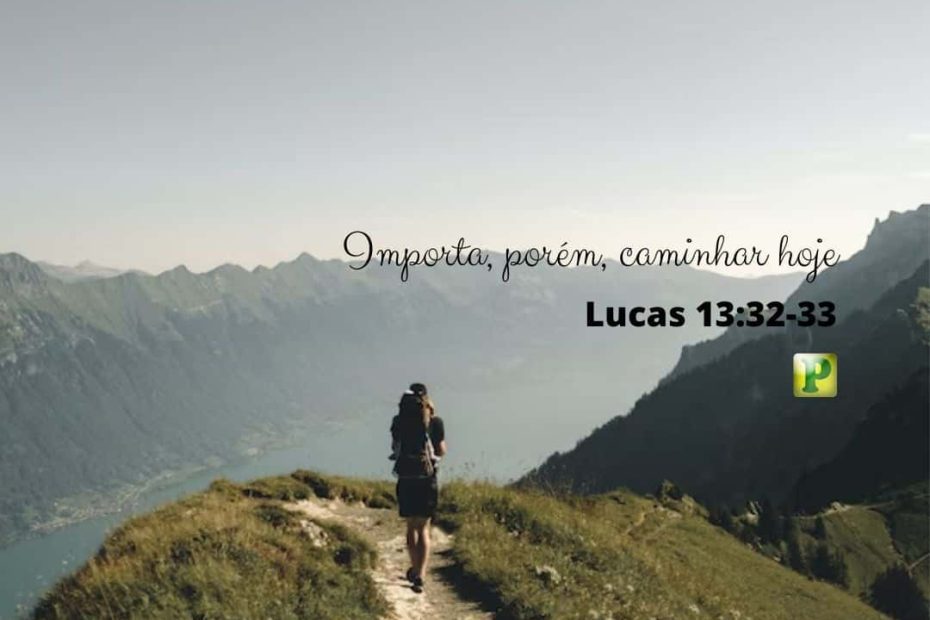 Importa, porém, caminhar hoje - Lucas 13:32-33