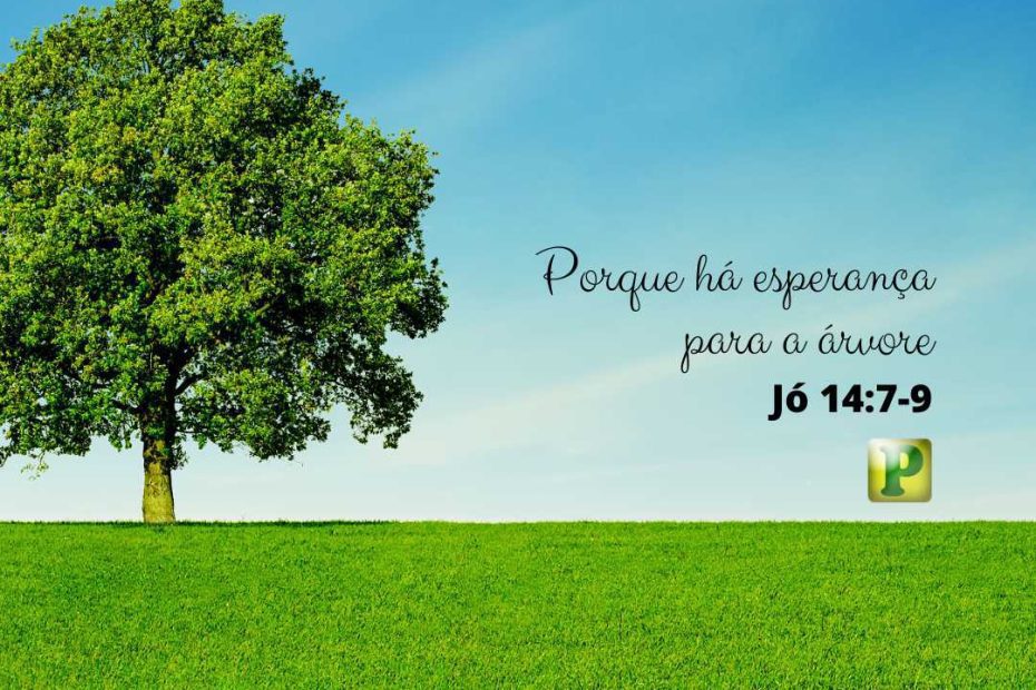 Porque há esperança para a árvore - Jó 14:7-9