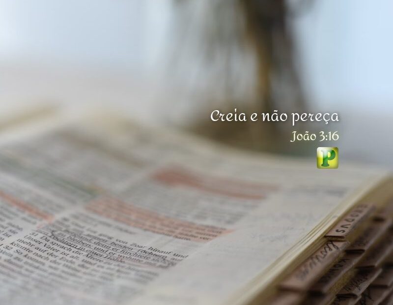 João 3:16 - Creia e não pereça