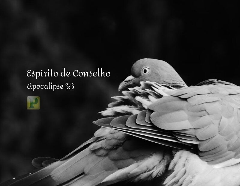 Espírito de Conselho - Apocalipse 3:3