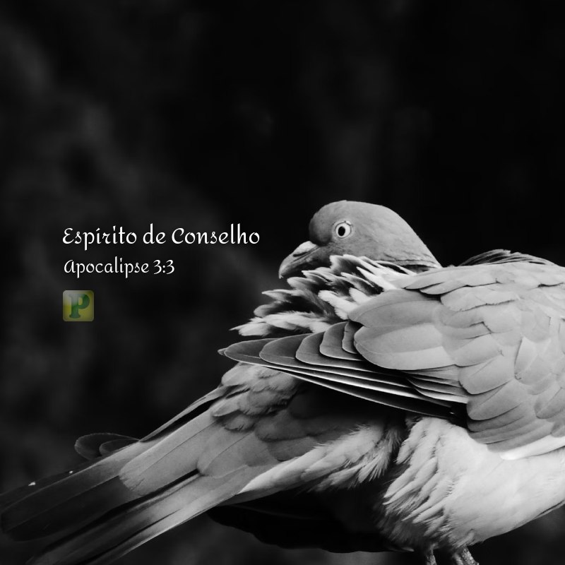 Espírito de Conselho - Apocalipse 3:3