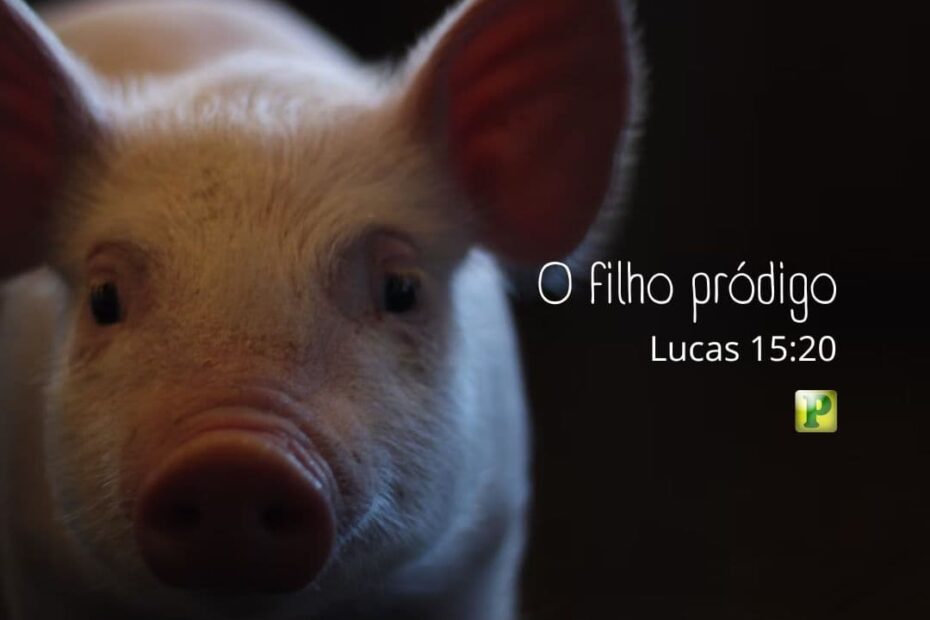 O filho pródigo - Lucas 15:20