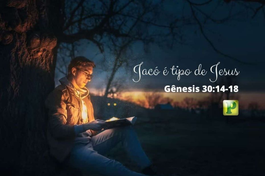 Jacó é tipo de Jesus - Gênesis 30:14-18