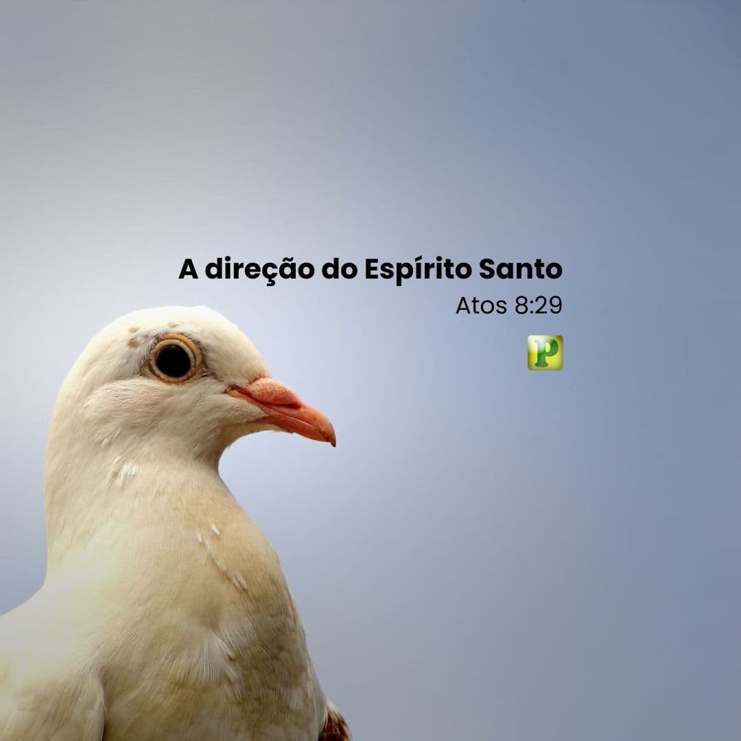 A direção do Espírito Santo - Atos 8:29