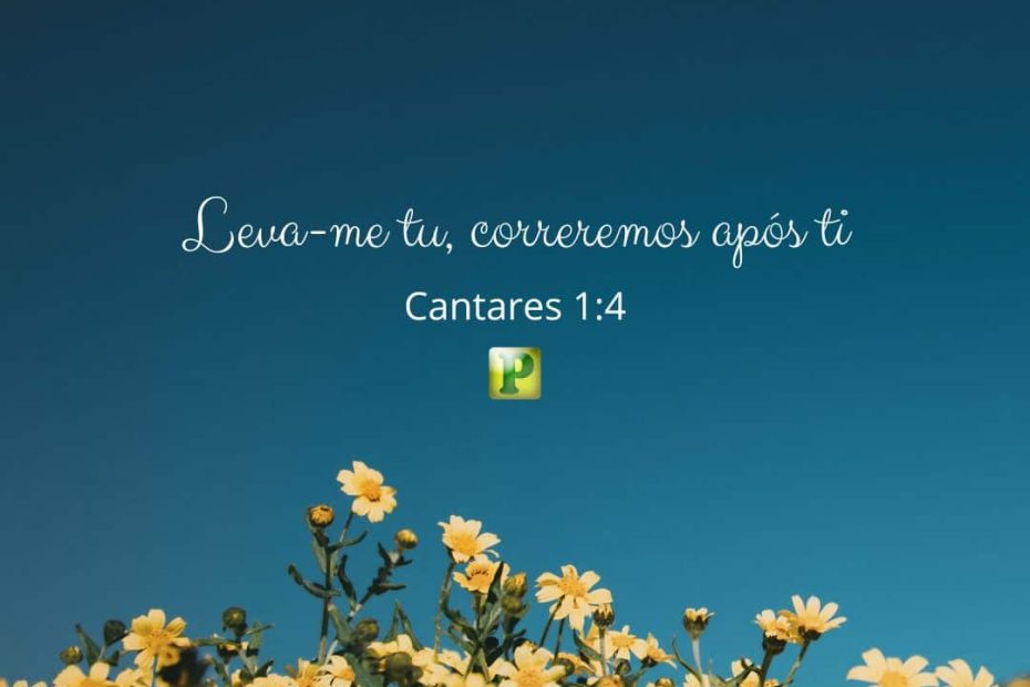 Leva-me tu, correremos após ti - Cantares 1:4