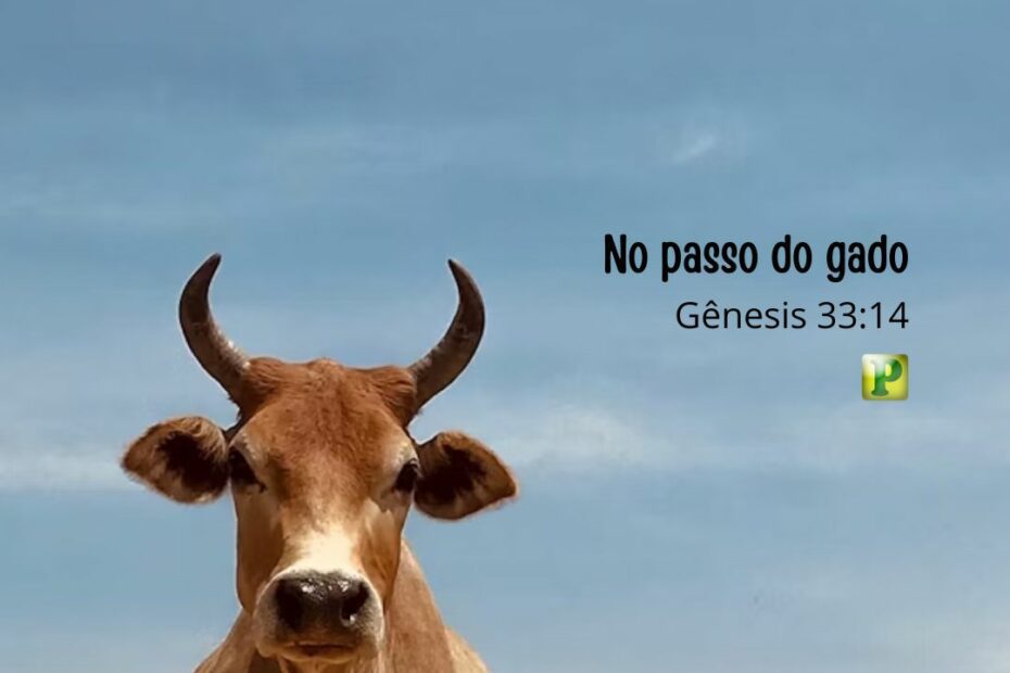 No passo do gado Gênesis 33:14