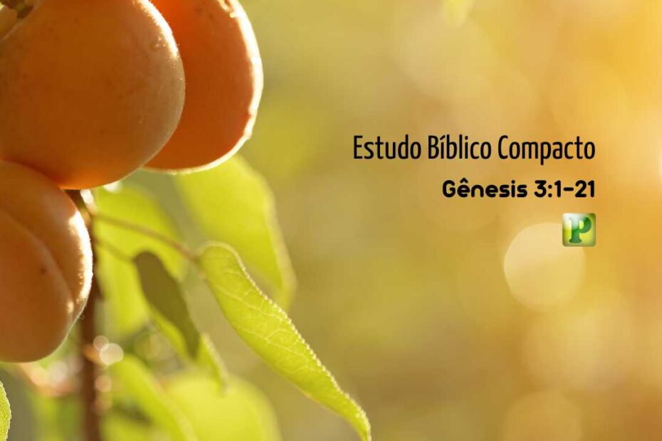 Estudo Bíblico Compacto – Gênesis 3:1-21