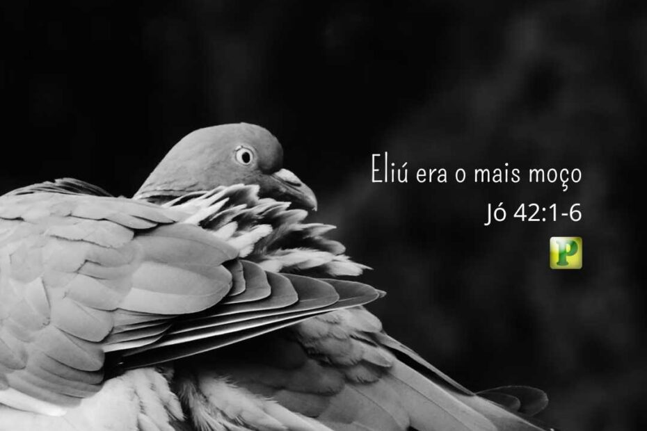 Eliú era o mais moço Jó 42:1-6