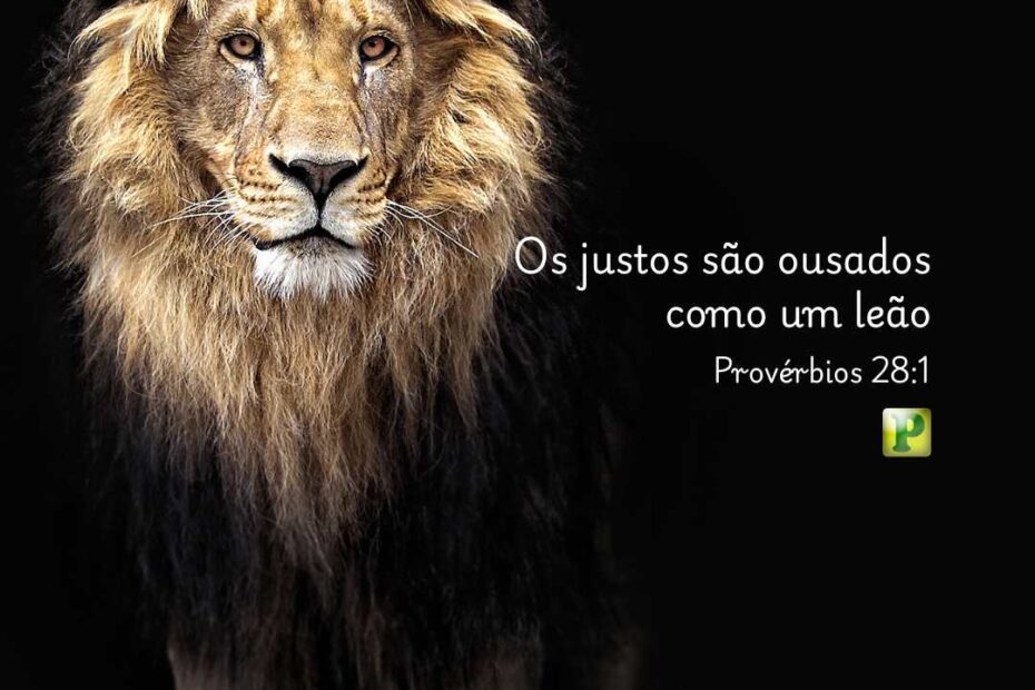 Os justos são ousados como um leão Provérbios 28:1