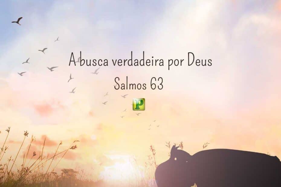 A busca verdadeira por Deus - Salmos 63