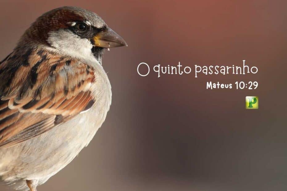 O quinto passarinho - Mateus 10:29