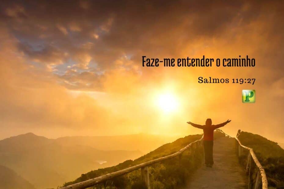 Faze-me entender o caminho - Salmos 119:27