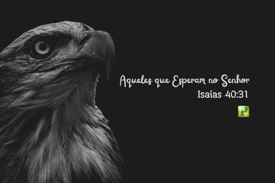 Aqueles que Esperam no Senhor - Isaías 40:31