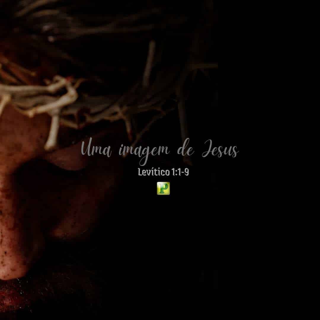 Uma imagem de Jesus - Levítico 1:1-9